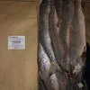 горбуша 54200 кг в Петропавловске-Камчатском